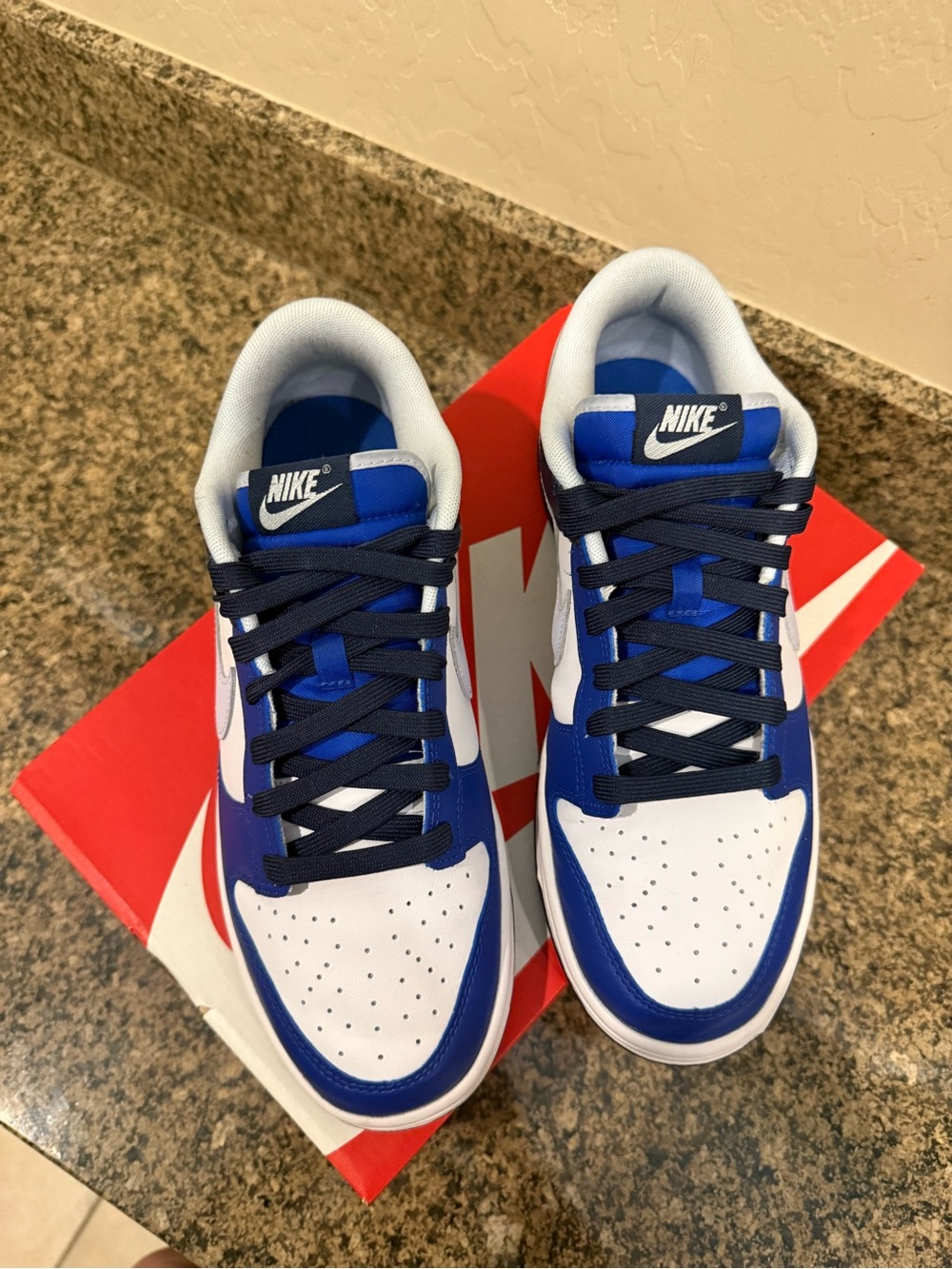 Nike Dunk Low